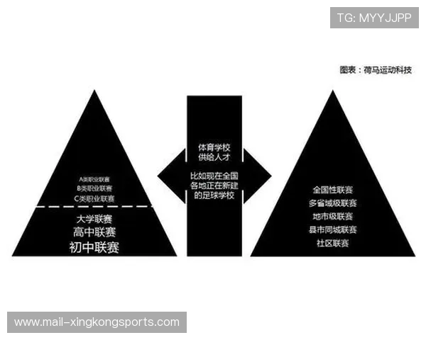 体育产业中的中介机构职能与盈利模式演变